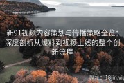 新91视频内容策划与传播策略全览：深度剖析从爆料到视频上线的整个创新流程