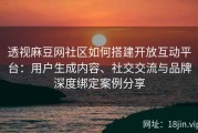 透视麻豆网社区如何搭建开放互动平台：用户生成内容、社交交流与品牌深度绑定案例分享