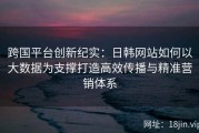 跨国平台创新纪实：日韩网站如何以大数据为支撑打造高效传播与精准营销体系