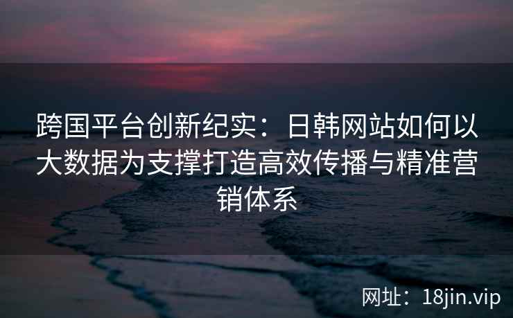 跨国平台创新纪实：日韩网站如何以大数据为支撑打造高效传播与精准营销体系