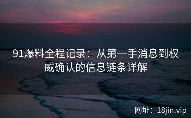 91爆料全程记录：从第一手消息到权威确认的信息链条详解