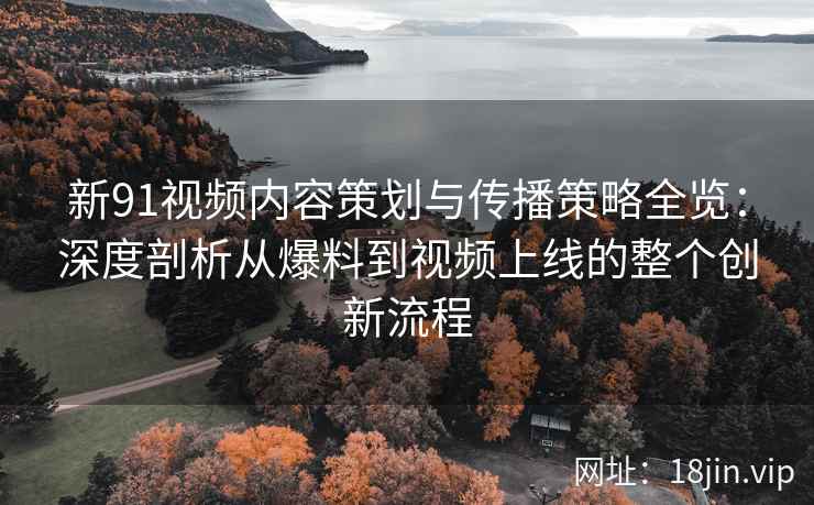 新91视频内容策划与传播策略全览：深度剖析从爆料到视频上线的整个创新流程