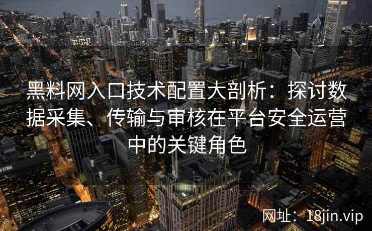 黑料网入口技术配置大剖析：探讨数据采集、传输与审核在平台安全运营中的关键角色