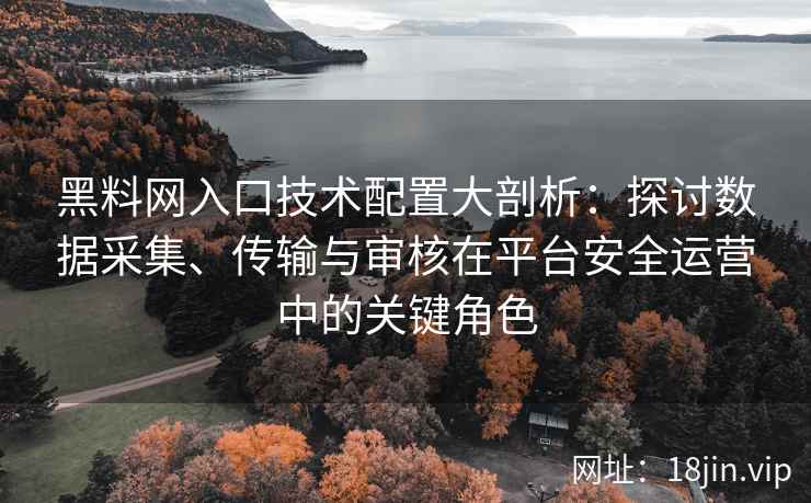 黑料网入口技术配置大剖析：探讨数据采集、传输与审核在平台安全运营中的关键角色