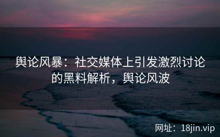 舆论风暴：社交媒体上引发激烈讨论的黑料解析，舆论风波